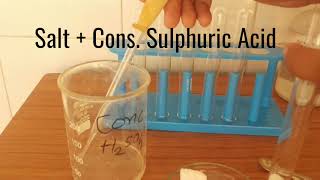 Test for ammonium ion  Test for chloride ion  Nesslers reagent test [upl. by Nedra41]