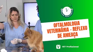 Oftalmologia Veterinária  Reflexo de Ameaça [upl. by Doownil]