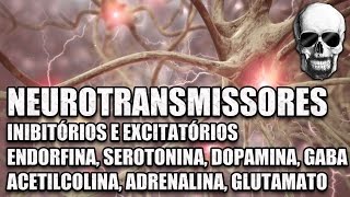 Vídeo Aula 147  Sistema Nervoso  Neurotransmissores Serotonina Dopamina e Endorfinas  Anatomia [upl. by Aniuqahs]