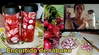 como hacer encurtido de rabanos aventurasconvera6805 🍅🍅 [upl. by Herv]