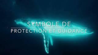 Le Chant des Baleines guérison intérieure 432hz [upl. by Aynas]