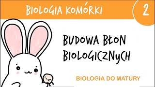 Cytologia 2  Budowa błon biologicznych błony komórkowe  biologia liceum poziom rozszerzony matura [upl. by Aiekram]