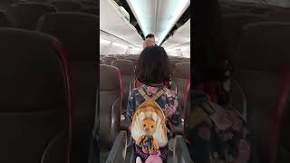 Naik pesawat Batik Air [upl. by Enogitna]