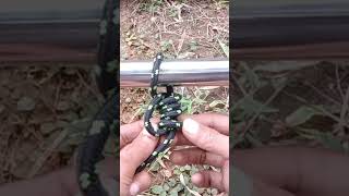 Rope knot tying knot knotskill [upl. by Jereme]