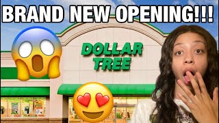 DOLLAR TREE BRAND NEW OPENING Orange County [upl. by Arno]