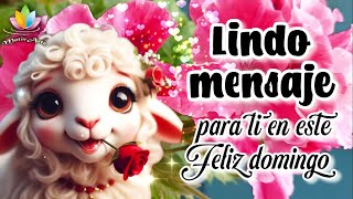 Feliz Domingo para ti Lindo mensaje con hermosas frases y palabras de Dios motivarte11 [upl. by Halden127]