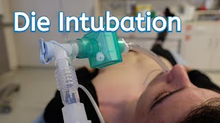 Die endotracheale Intubation [upl. by Oloapnaig]