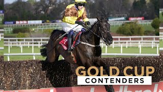 2023 BOODLES CHELTENHAM GOLD CUP CONTENDERS [upl. by Ayerf]