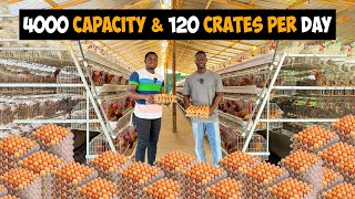 Inside a 4000 Capacity Battery Cage Poultry Farm producing 120 crates of Eggsday in Ghana 🇬🇭 [upl. by Zachariah253]