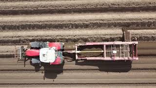 Massey Ferguson destoning in Scotland [upl. by Erma]