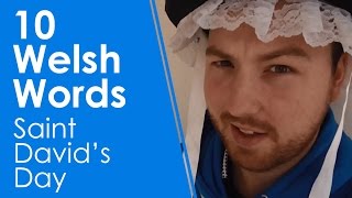 10 Welsh Words  Saint Davids Day Learn Welsh [upl. by Chariot193]