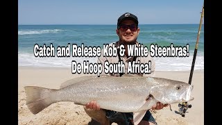 ZLF Fishing De Hoop Part 2  Catching Kob and White Steenbras [upl. by Niran]