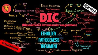 DISSEMINATED INTRAVASCULAR COAGULATION DIC Pathogenesis Mechanism of clinical symptoms Treatment [upl. by Ballard121]