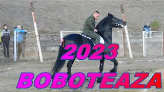 BOBOTEAZA 2023 LA FETESTI CAI SI CALARETI TRADITIA MERGE MAI DEPARTE [upl. by Eednarb954]