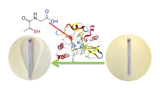 webinar recording a strategy to combat multidrugresistant bacteria [upl. by Thielen]