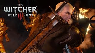 Witcher 3 Killing the Hym using the Witchers Way Refuse to Throw the Baby in the Oven [upl. by Doykos]