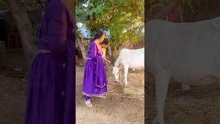 Our beautiful village chandu vlogsviralhoyna trending youtubeshorts [upl. by Pierrepont877]