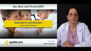 Facial Nerve and Disorders  ENT Video Lecture  Medical VLearning Platform [upl. by Dviad]