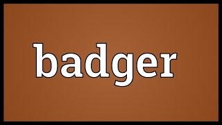 Badger Meaning [upl. by Codee115]