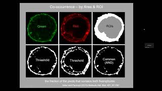20240213  Colocalization lecture and workshop [upl. by Drescher261]