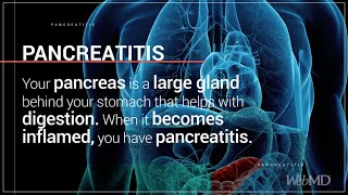 What is Pancreatitis  WebMD [upl. by Edmonda]