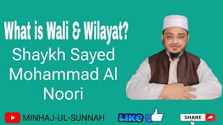 What is Wilayat amp Wali by Ustaz Sayed Mohammad Al Noori [upl. by Olson]