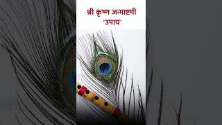 श्री कृष्ण जन्माष्टमी करा मोर पिसाचा हा उपाय Krishna Janmashtami  Vastu Tips For Mor Pankh  SG5 [upl. by Leira899]