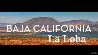 La Loba Baja California Norte [upl. by Ardnot]