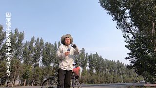 单人单车骑行来到河北定兴，在定兴看看美丽的街景，然后再出发 [upl. by Ahseal]