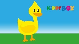 Alle meine Entchen  Kinderlieder KIDDYBOXTV [upl. by Weidner]