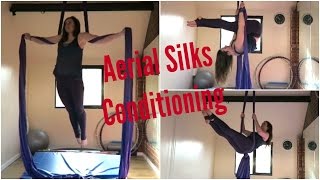 Aerial Silks Conditioning Exercises  UNIQUE AERIALISTS [upl. by Zephan]