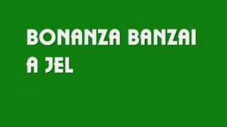 Bonanza BanzaiA jel [upl. by Scott]