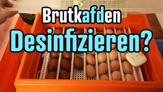 Brutmaschine desinfizieren Janeinvielleicht  So mache ich es [upl. by Yna]