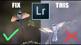 The amazing LIGHTROOM TECHNIQUE I cant live without [upl. by Alleinad765]