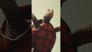 Turtle on a Telephone Pole [upl. by Alyce]