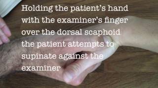 scaphoid examination [upl. by Chace]