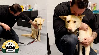 This girl was terrified in the shelter but shes free now  Lee Asher [upl. by Avlasor]