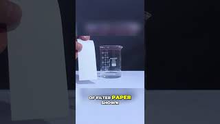 Ascending Paper Chromatography in 1 min [upl. by Edveh]