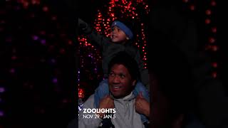 Zoolights 2024 at Point Defiance Zoo amp Aquarium [upl. by Culbertson802]