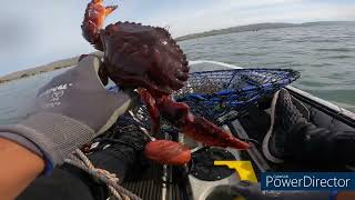 Bodega Bay Camping Crabbing Catch and Cook pt1 [upl. by Anauj]