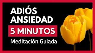 Meditación Guiada para la ANSIEDAD 5 Minutos  Calma tu estrés [upl. by Ruthi]