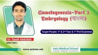 GametogenesisPart 1  Embryology বাংলা [upl. by Franciscka]