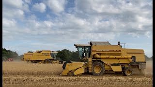 Cumbrian Harvest 2024 A pair of New Holland TX combines harvesting winter barley [upl. by Addis604]