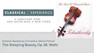 P Tchaikovsky  The Sleeping Beauty Op 66 Waltz  ClassicalExperience [upl. by Blalock948]