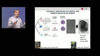 Jason Underwood Single cell isoform sequencing scIsoSeq identifies novel fulllength mRNAs [upl. by Aderfla]