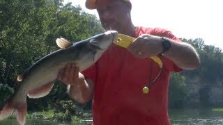 Catch a Channel Catfish in 4 MINUTES or less [upl. by Berglund]