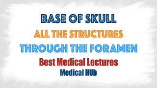 Quick Revision  All the Structures Passing through the Foramen of the Base of the skull  Anatomy [upl. by Ramal866]