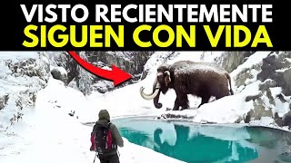 ¡Estos ANIMALES EXTINTOS Fueron Captados en Cámara en 2024 [upl. by Cunningham510]