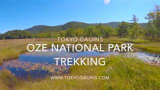 Oze National Park Trekking with Tokyo Gaijins 2017Sep24 [upl. by Akim]