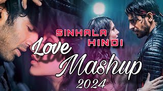 Love Sinhala Hindi Mashup 2024  RemixN breakupsong breakupmashup remix sinhala djnonstop [upl. by Gnihc]